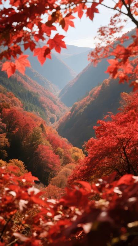 秋山红叶谷图片