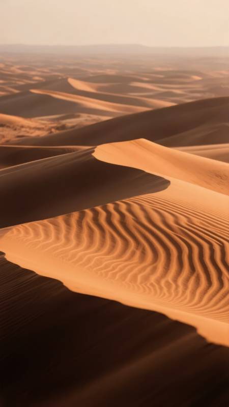 沙漠沙丘的波纹图片