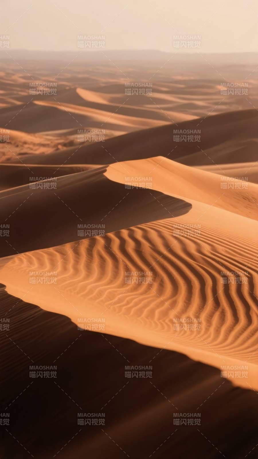 沙漠沙丘的波纹图片