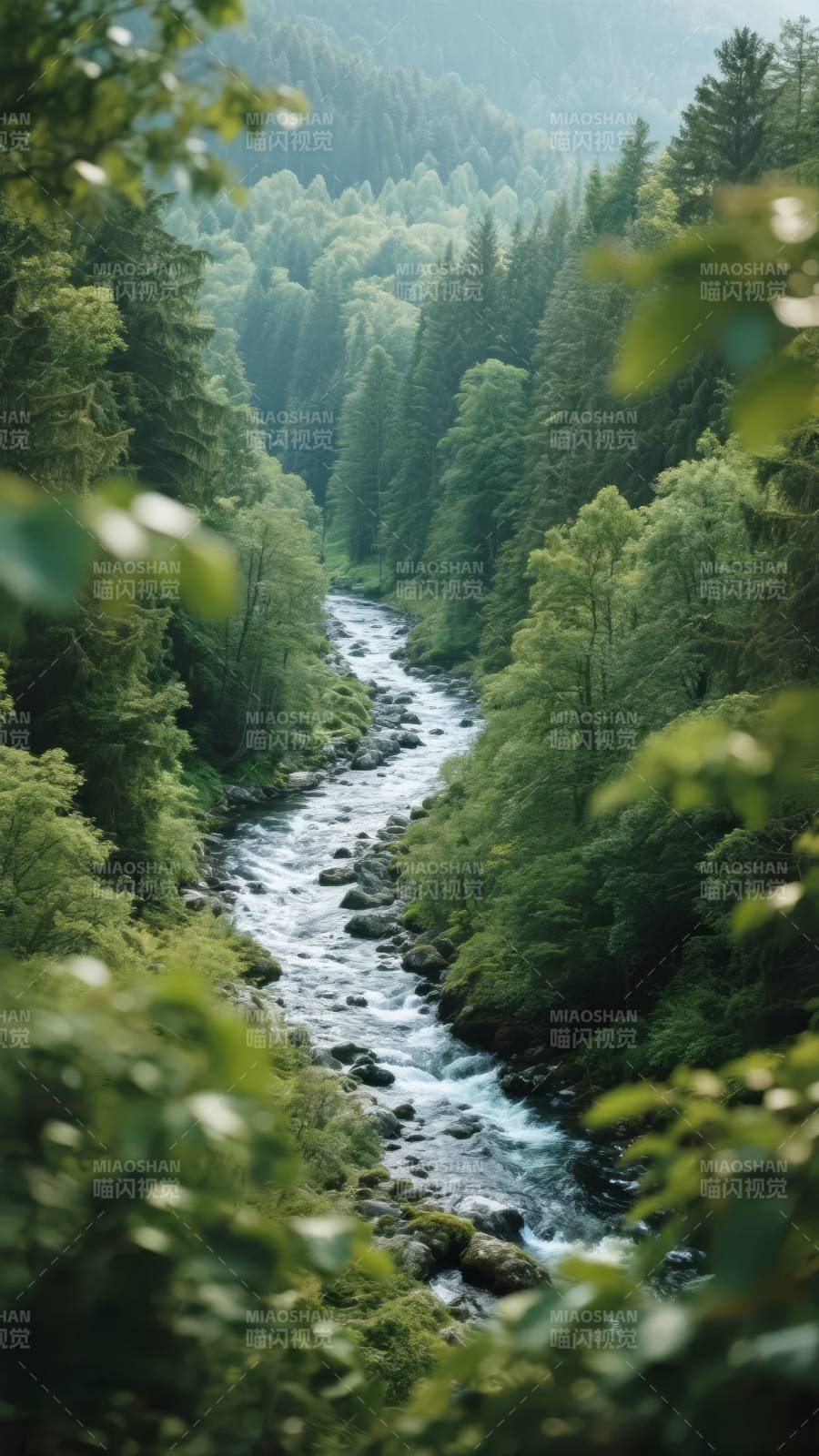 林间溪流图片