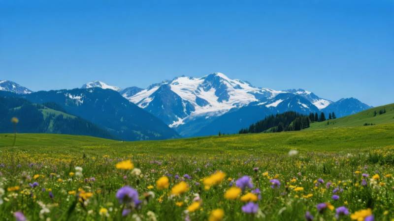 雪山花海春景图片