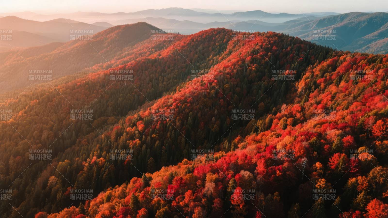 秋山红叶如画图片