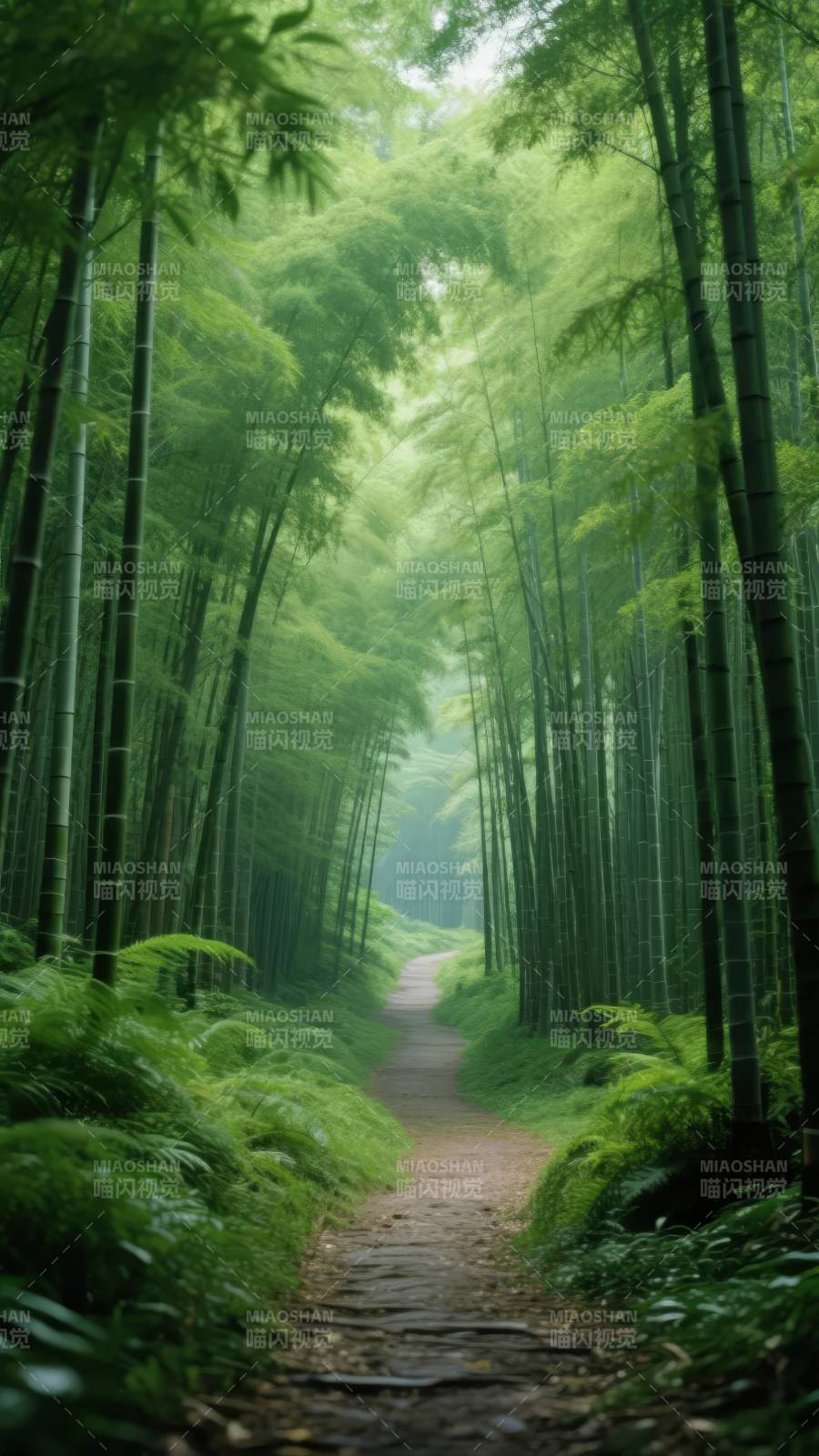 竹林小径图片