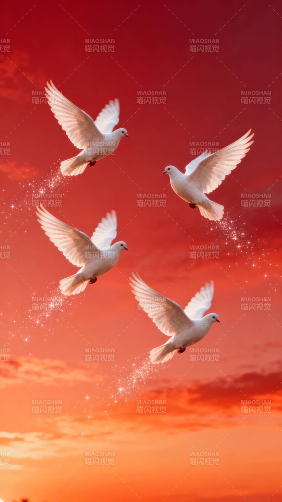 白鸽翱翔红霞中图片
