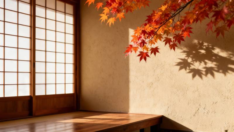 秋枫映窗影图片