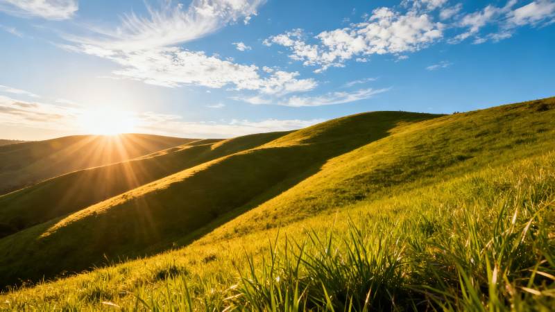 金色草原日出图片