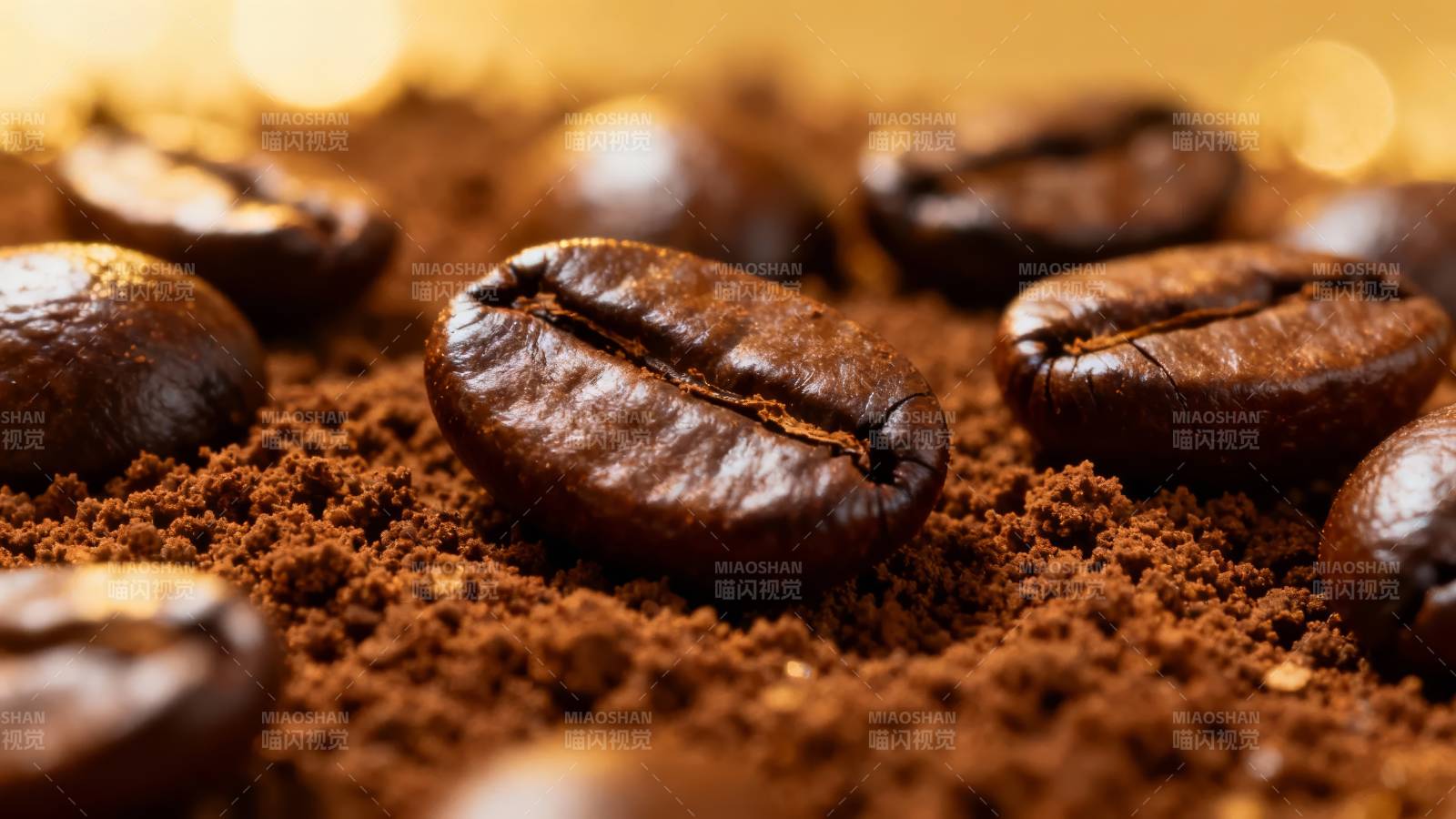 咖啡豆与研磨粉图片