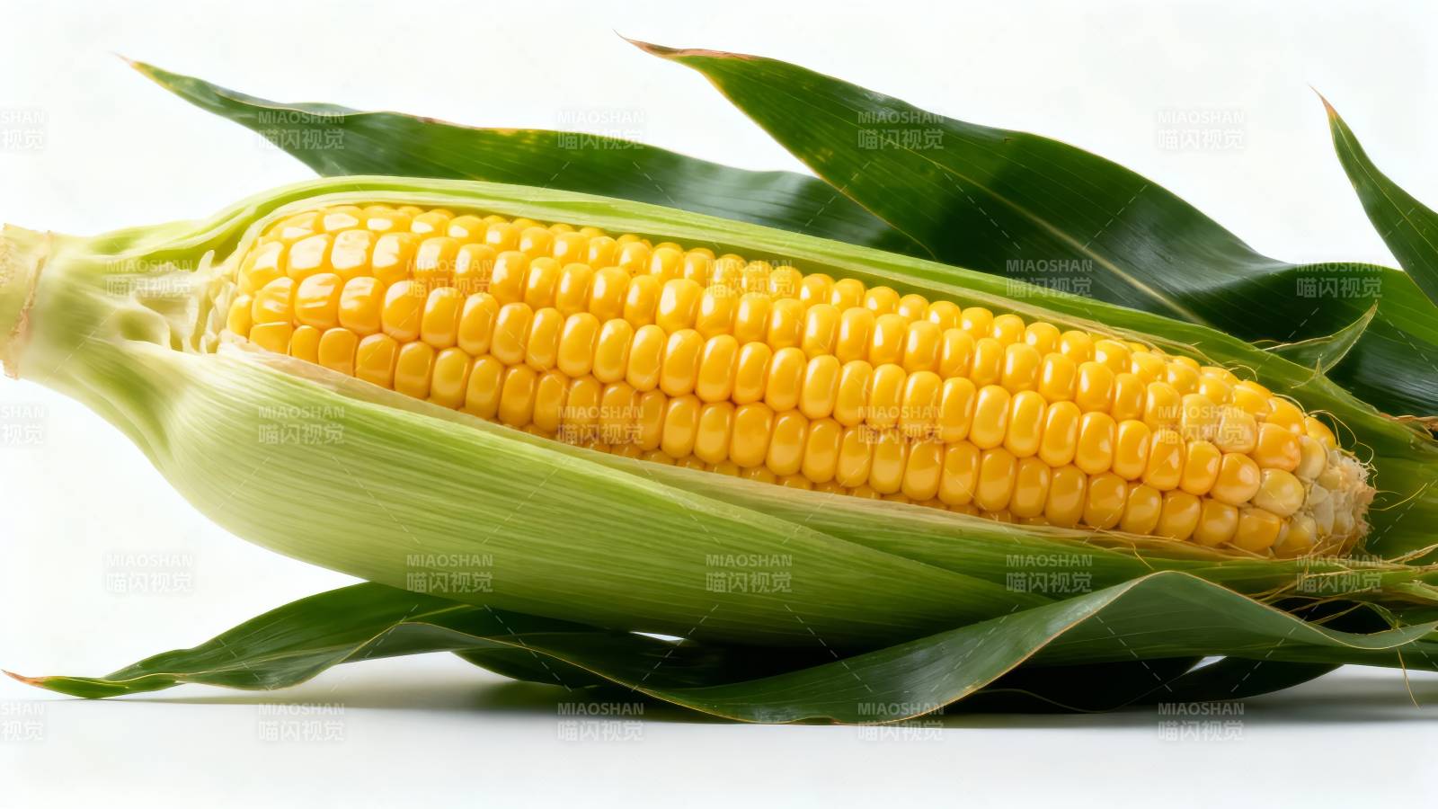 金黄玉米鲜嫩可口图片