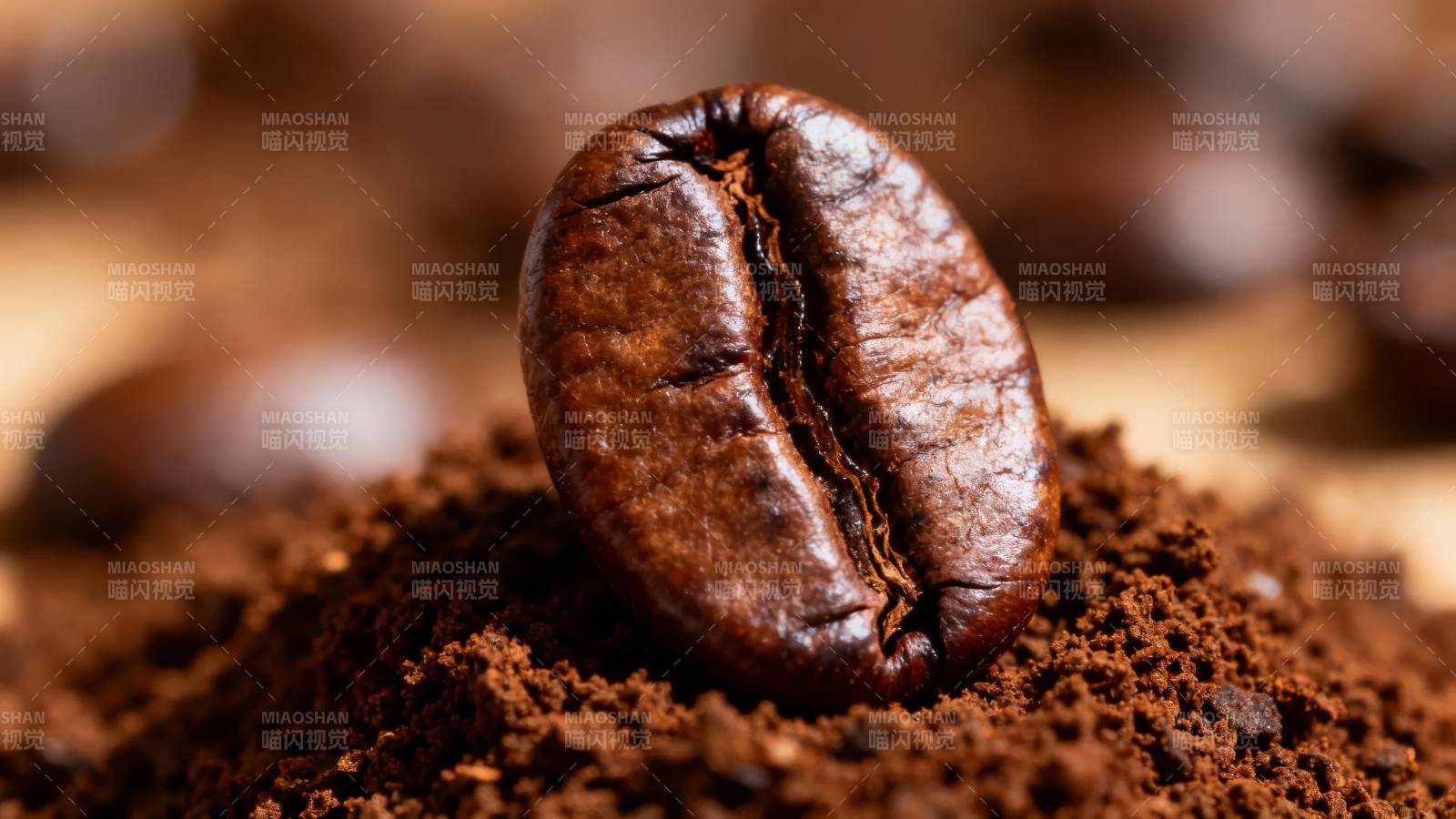 咖啡豆特写图片