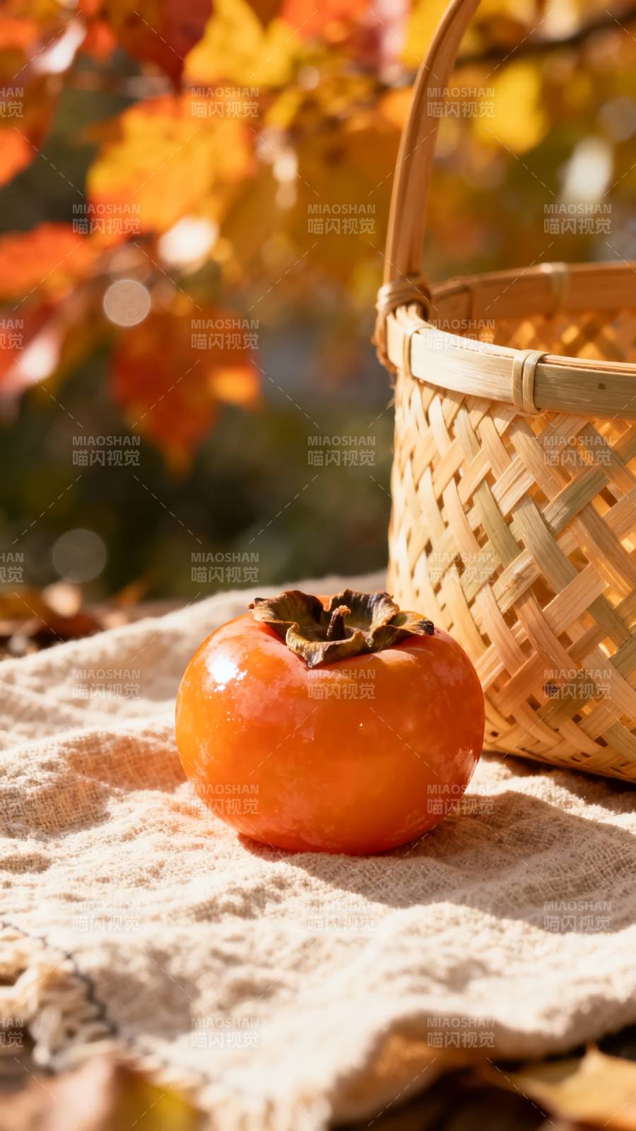 秋日柿子静景图片