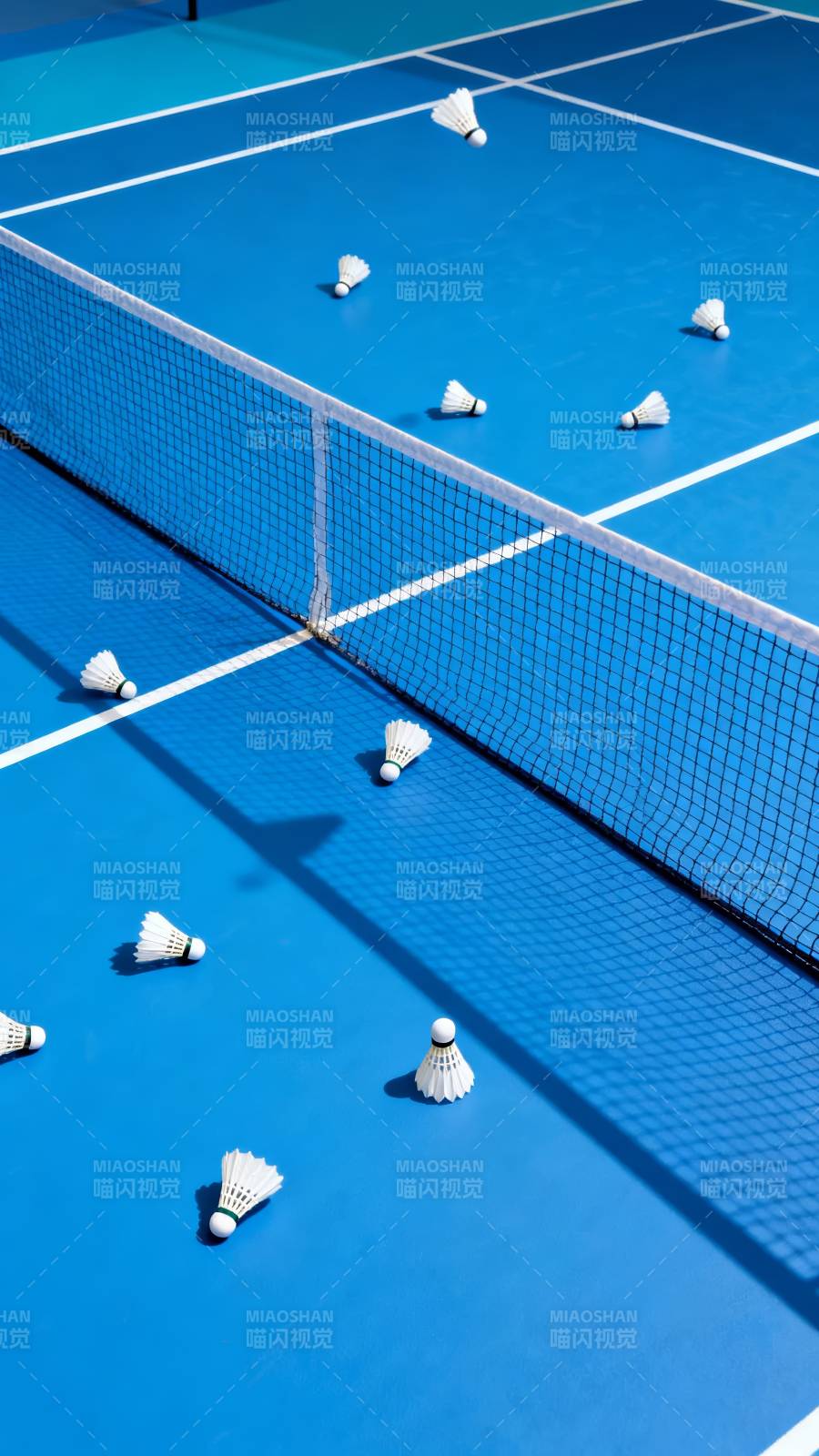 羽毛球场地静景图片