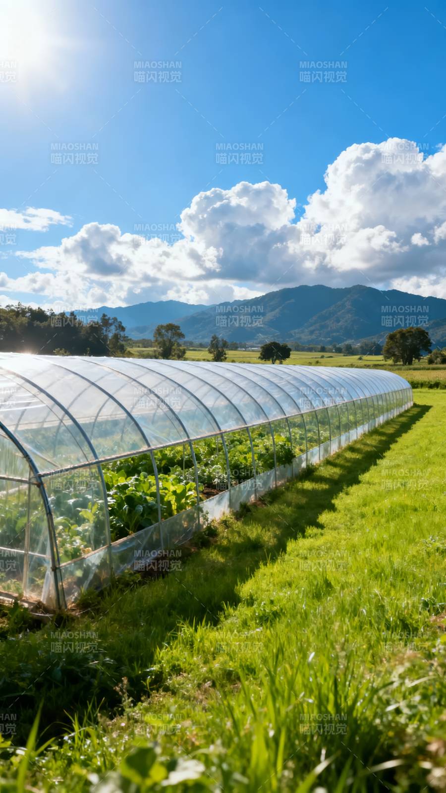 温室田园风光图片
