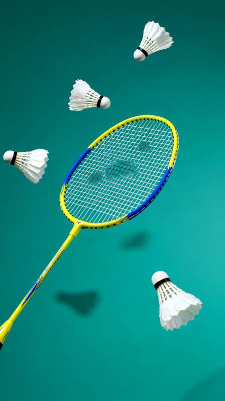 羽毛球飞舞瞬间图片