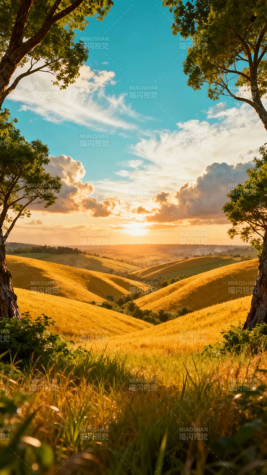 金色丘陵日落图片