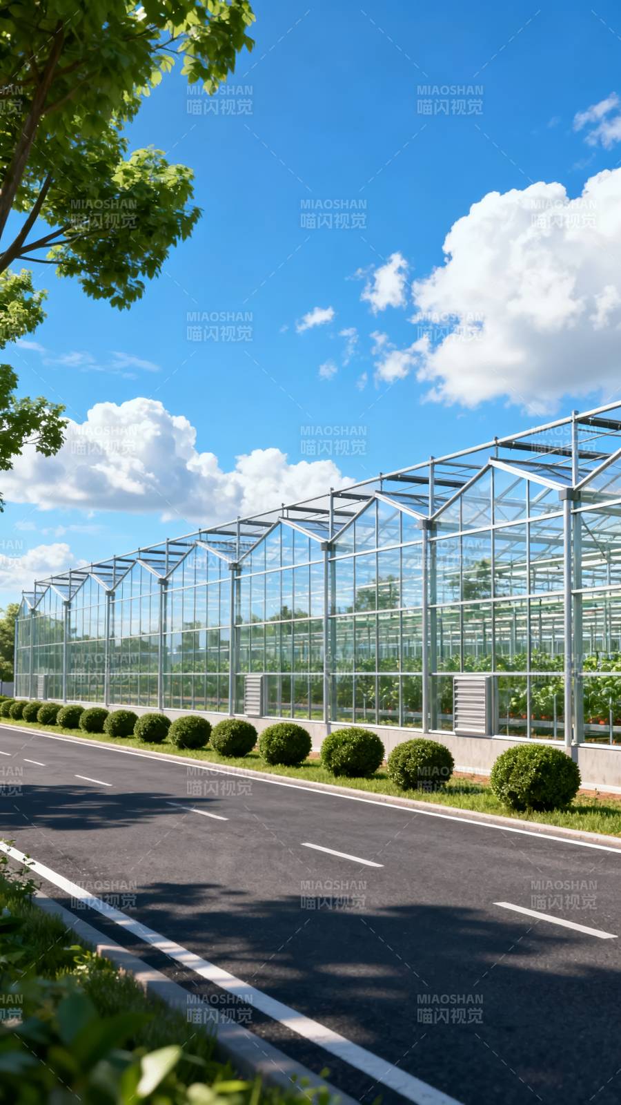 温室长廊 绿意盎然图片