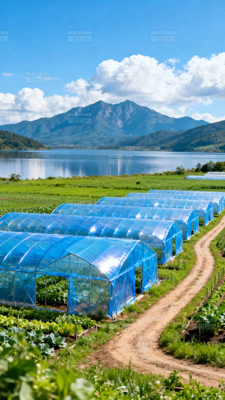 湖畔温室田园风光图片