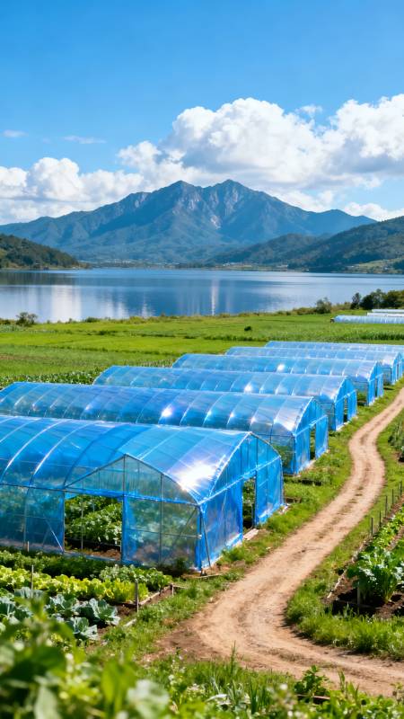 湖畔温室田园风光图片