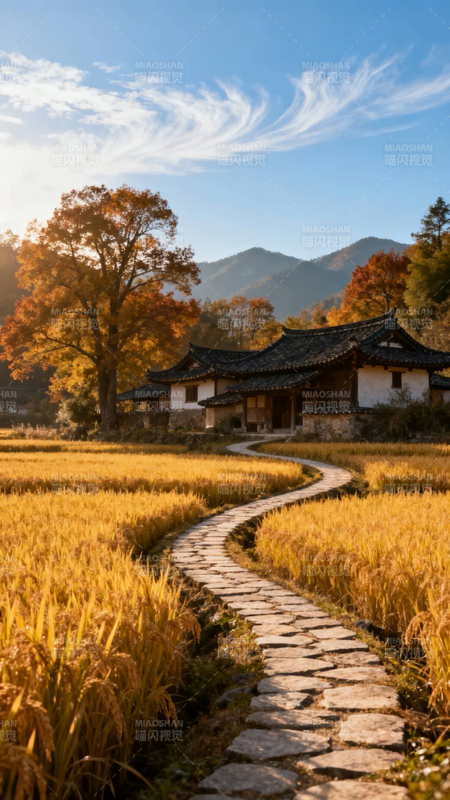 秋日田园小径图片