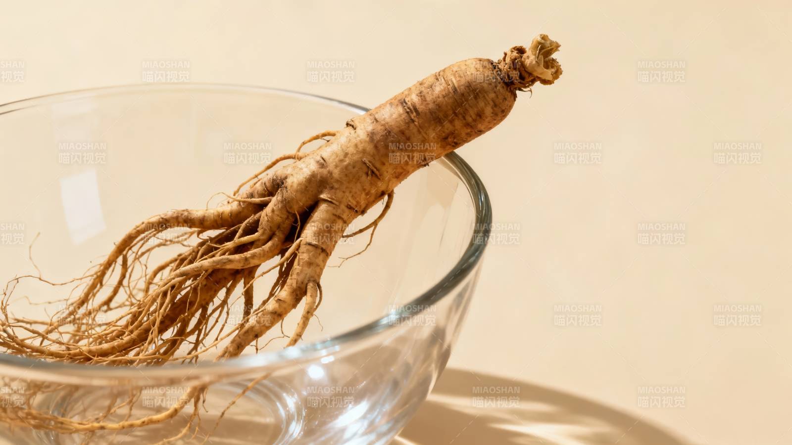 人参根置于玻璃碗中图片