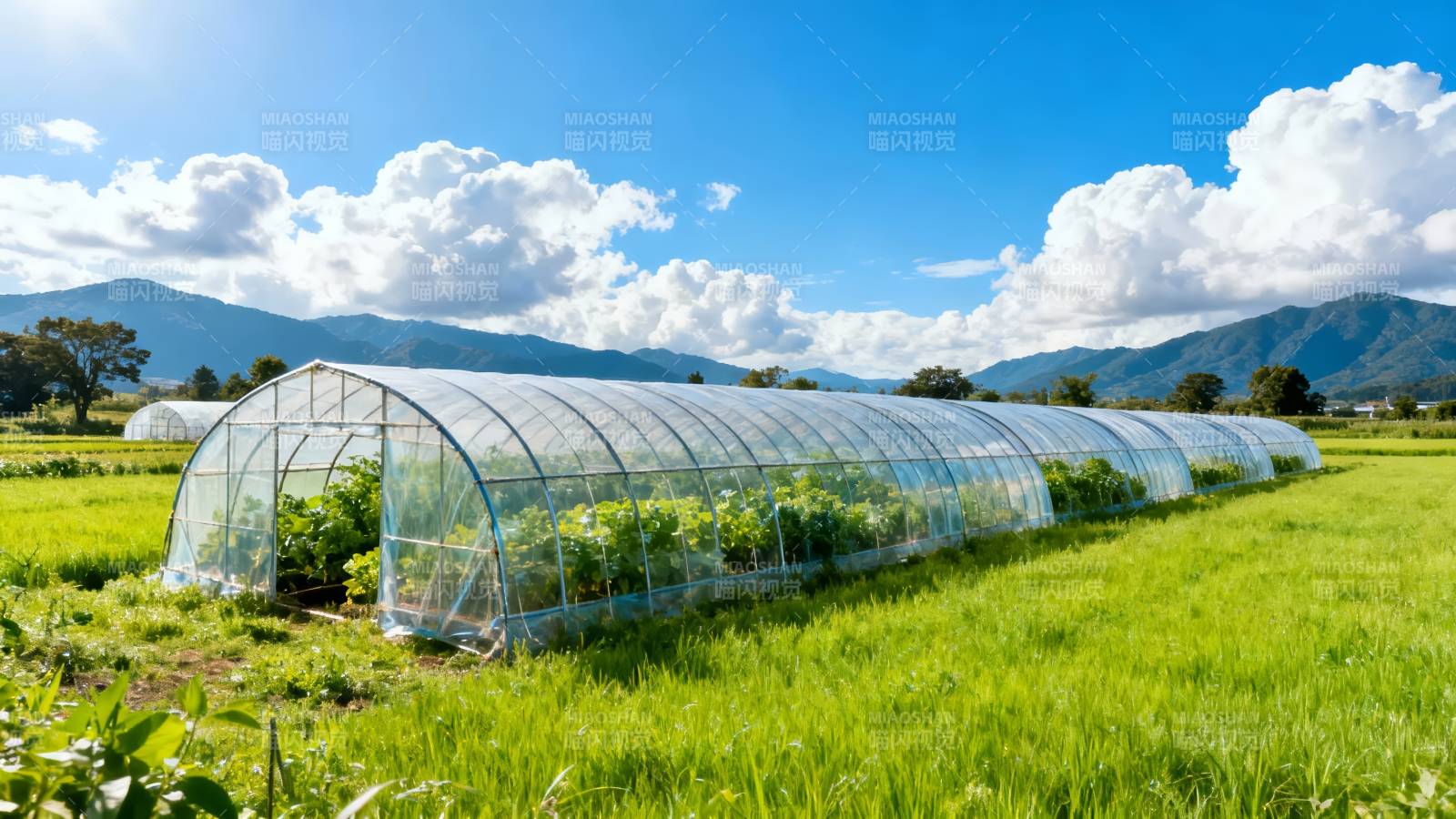 田园温室风光图片