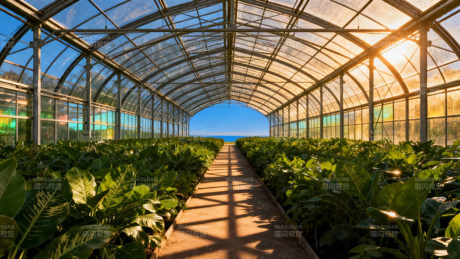 温室绿植长廊图片