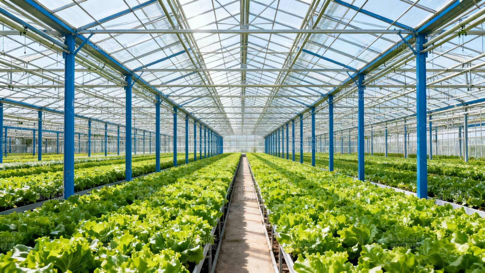 现代化温室种植图片