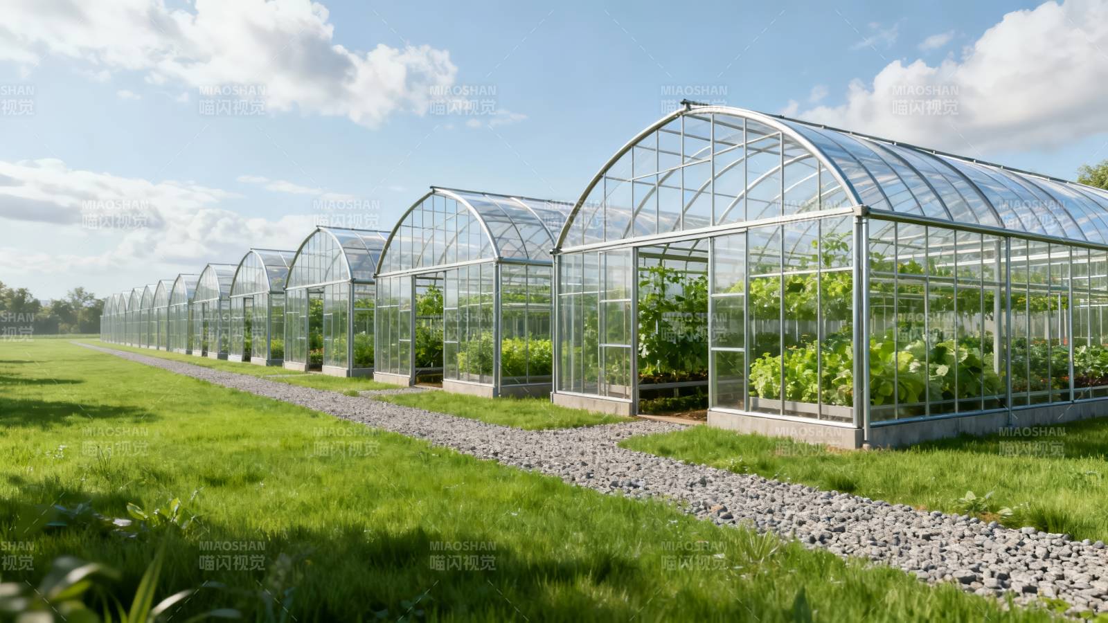 温室花园绿意盎然图片