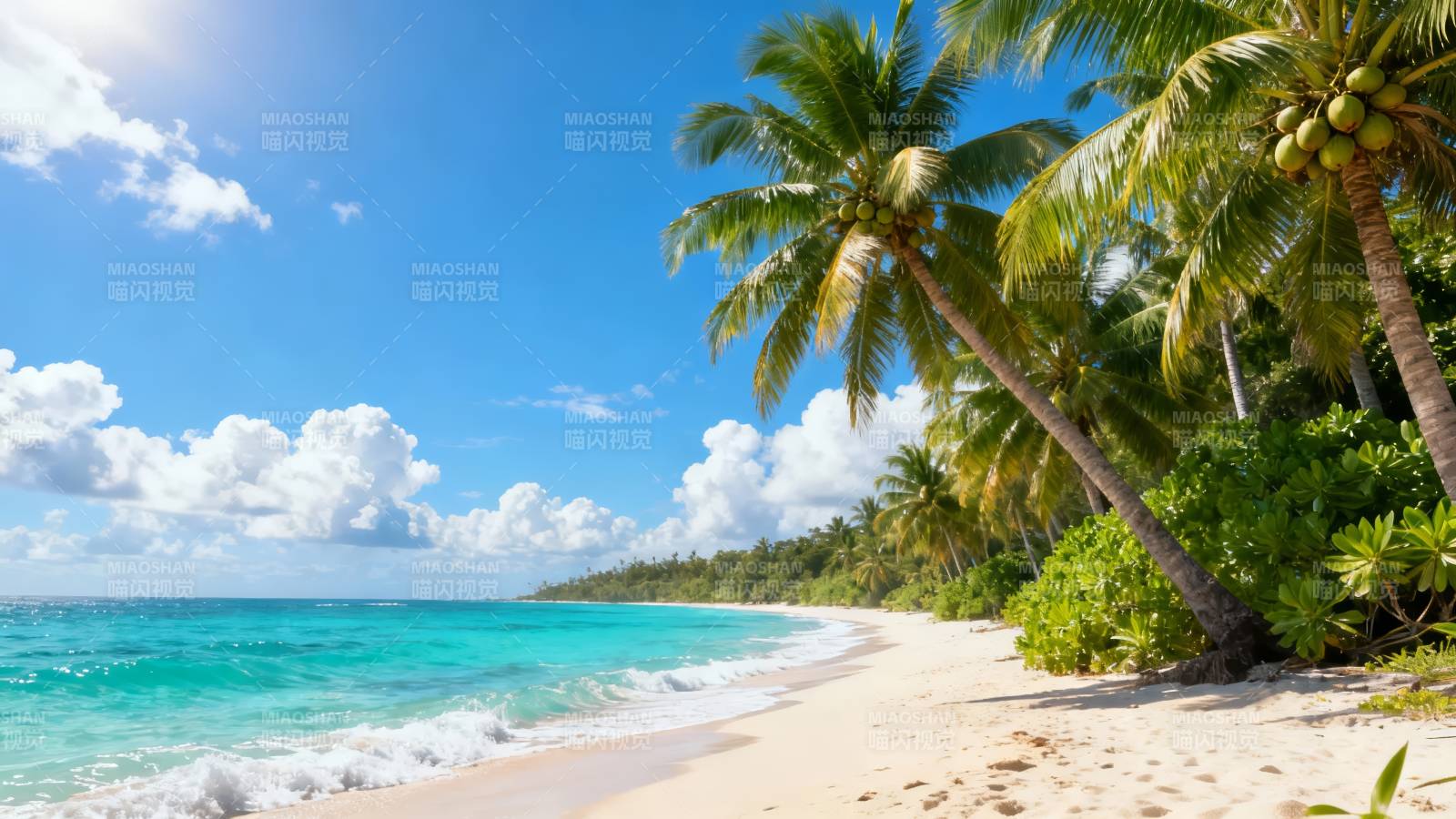 热带海滩风光图片