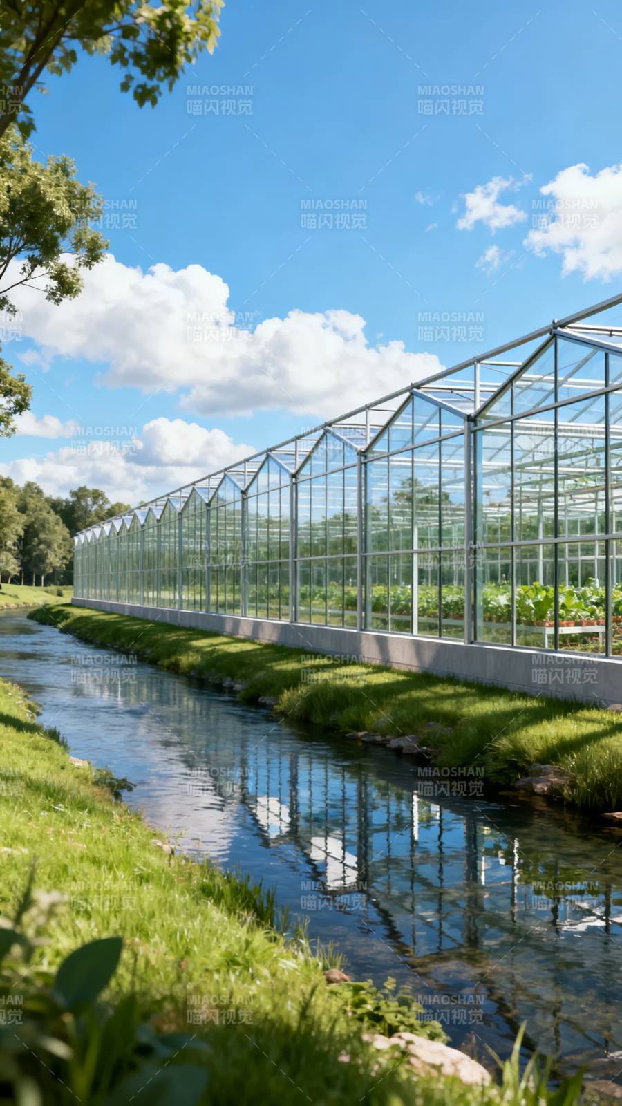 温室映水 绿意盎然图片