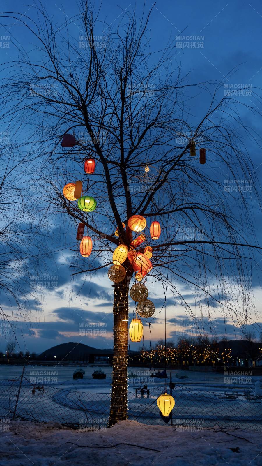 雪夜灯树映晚霞图片