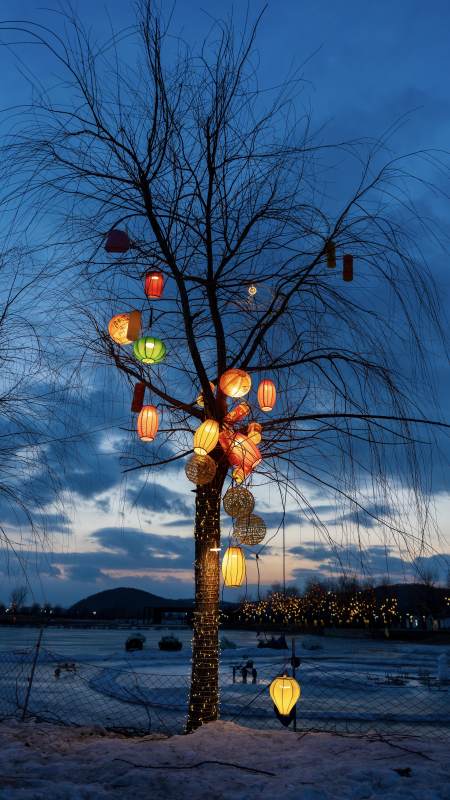 雪夜灯树映晚霞图片