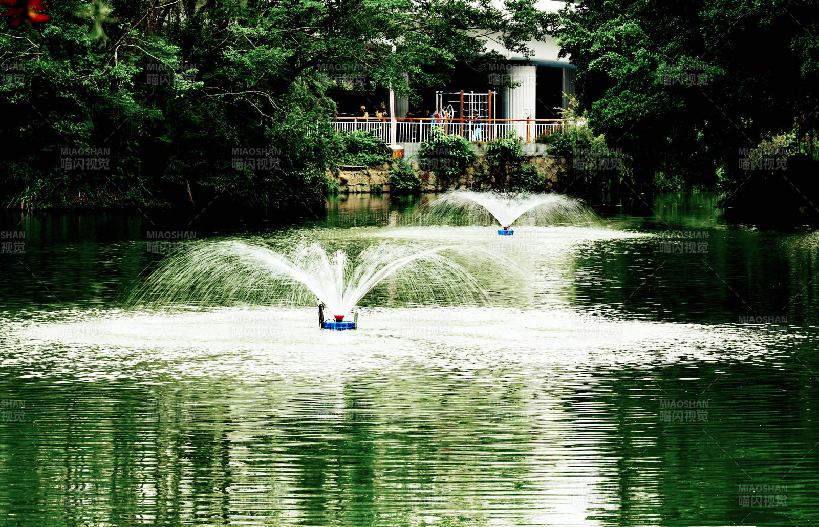 湖心喷泉映绿荫图片