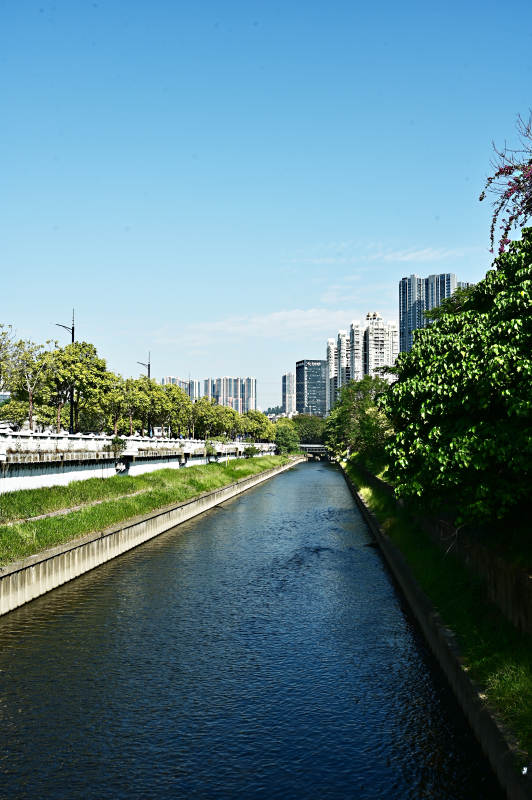 城市河道风光图片