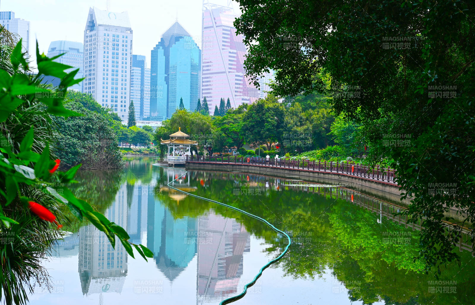 城市公园湖景图片