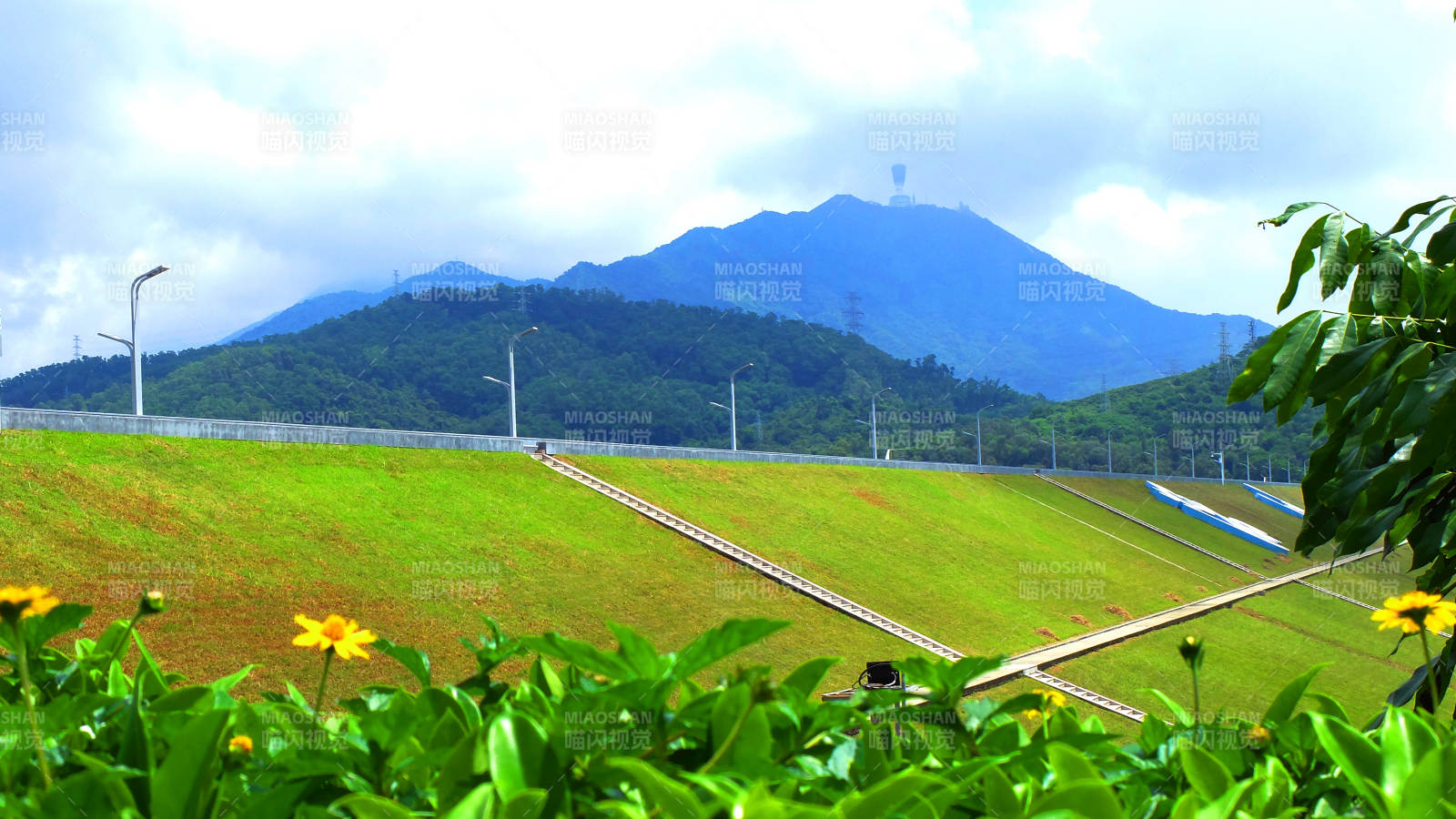 青山绿水花盛开图片