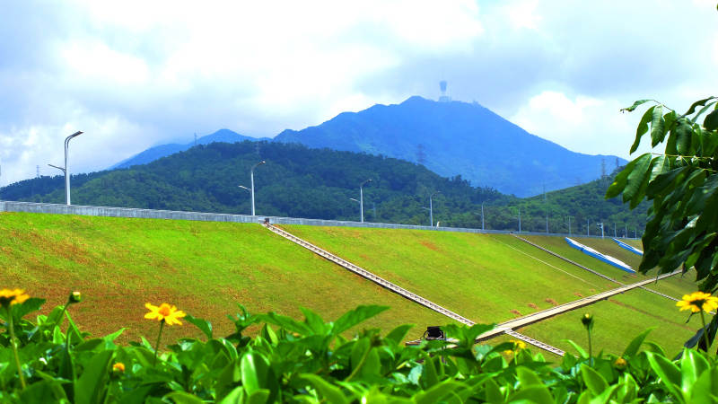 青山绿水花盛开图片