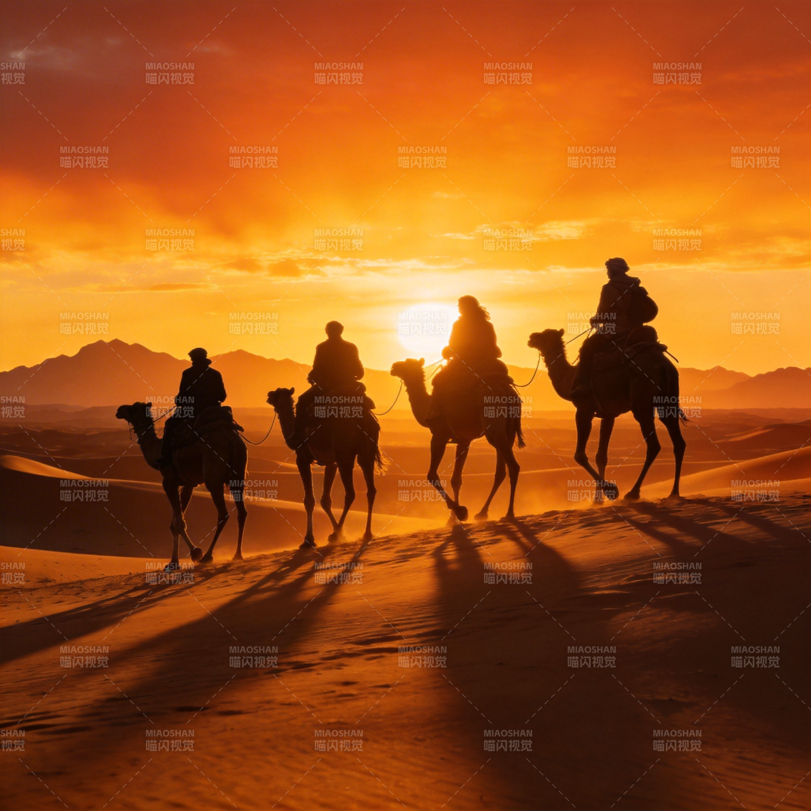 沙漠驼影夕阳下图片