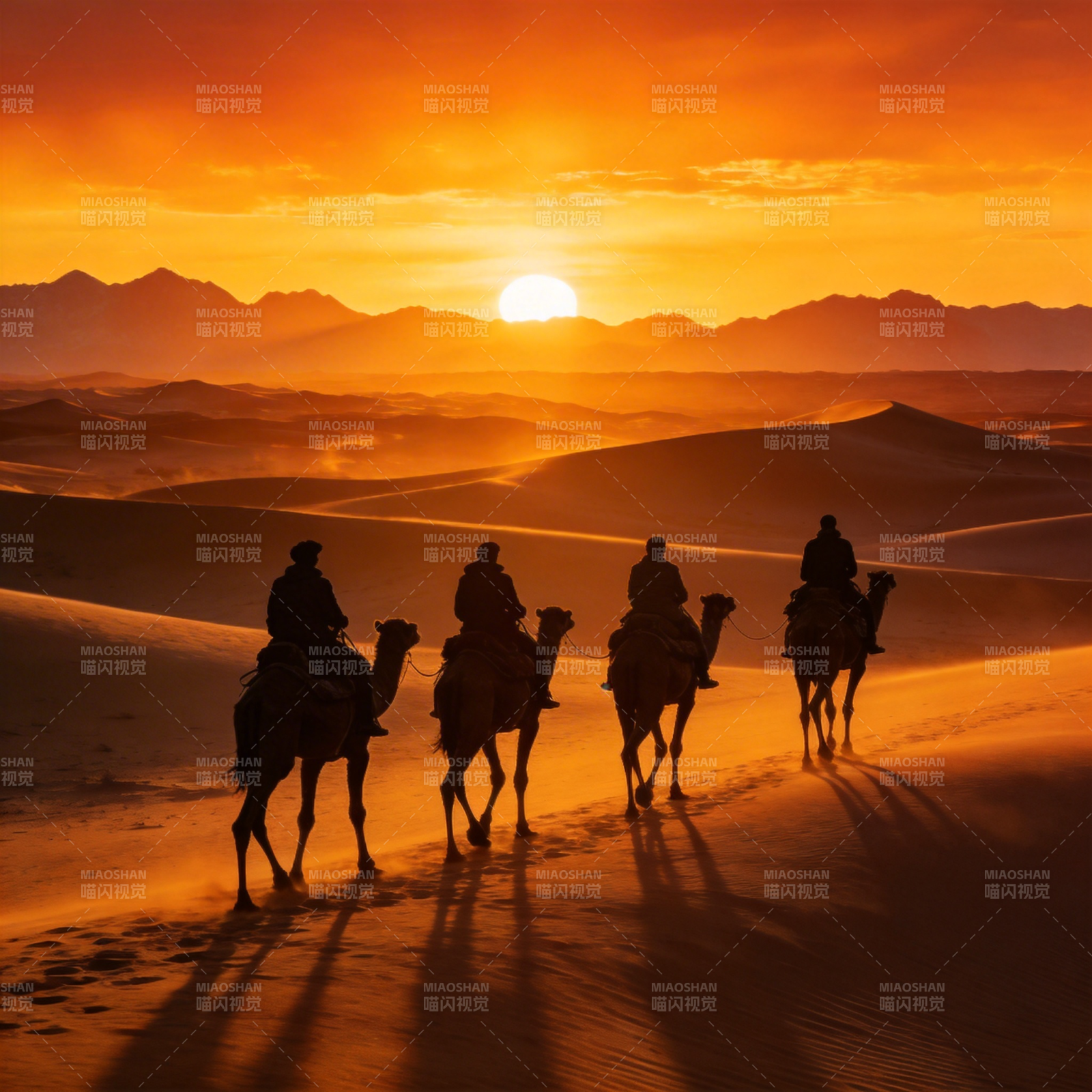 沙漠驼影夕阳图片