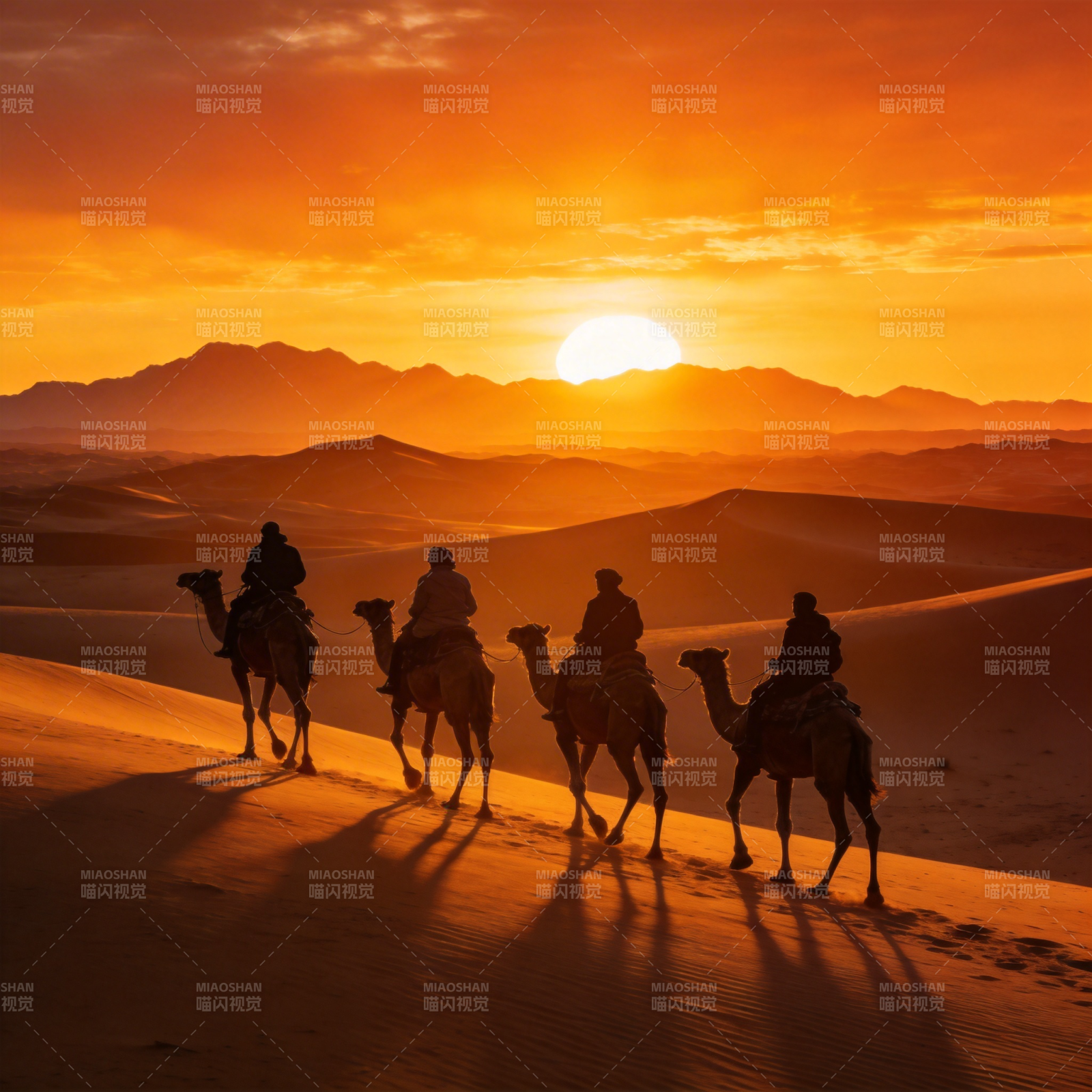 沙漠驼影夕阳图片