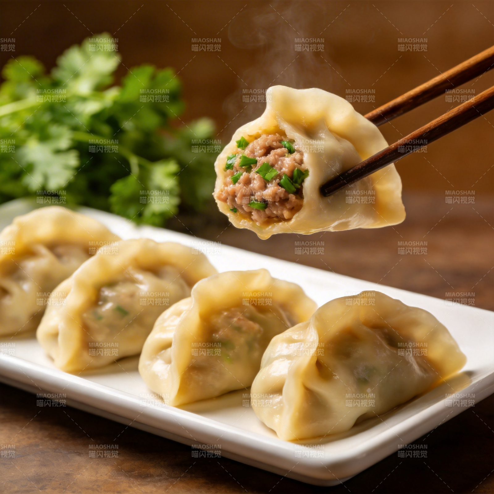 热腾腾的鲜肉饺子图片