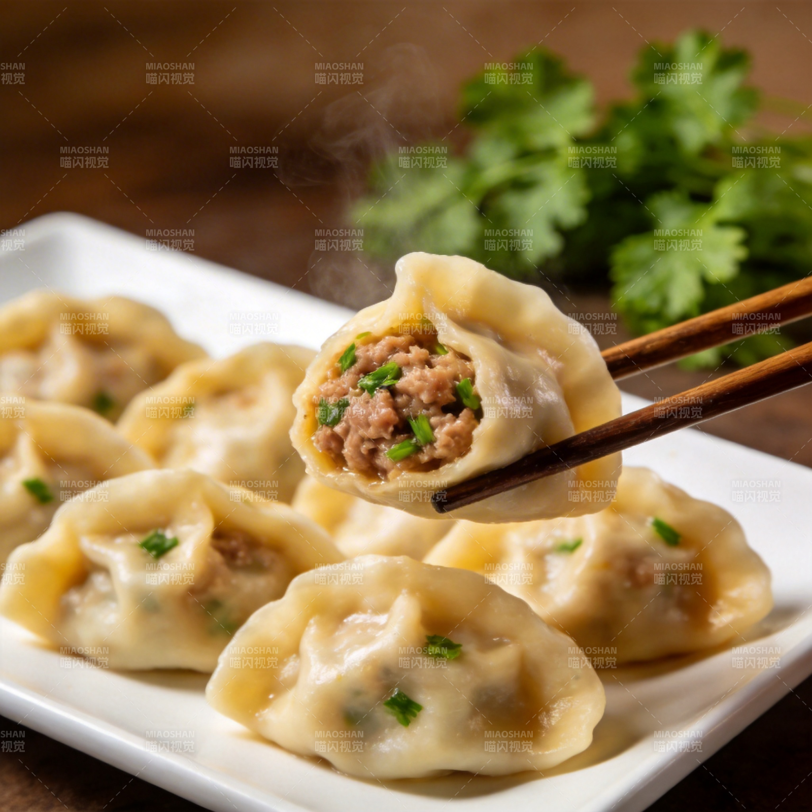 热腾腾的鲜肉饺子图片