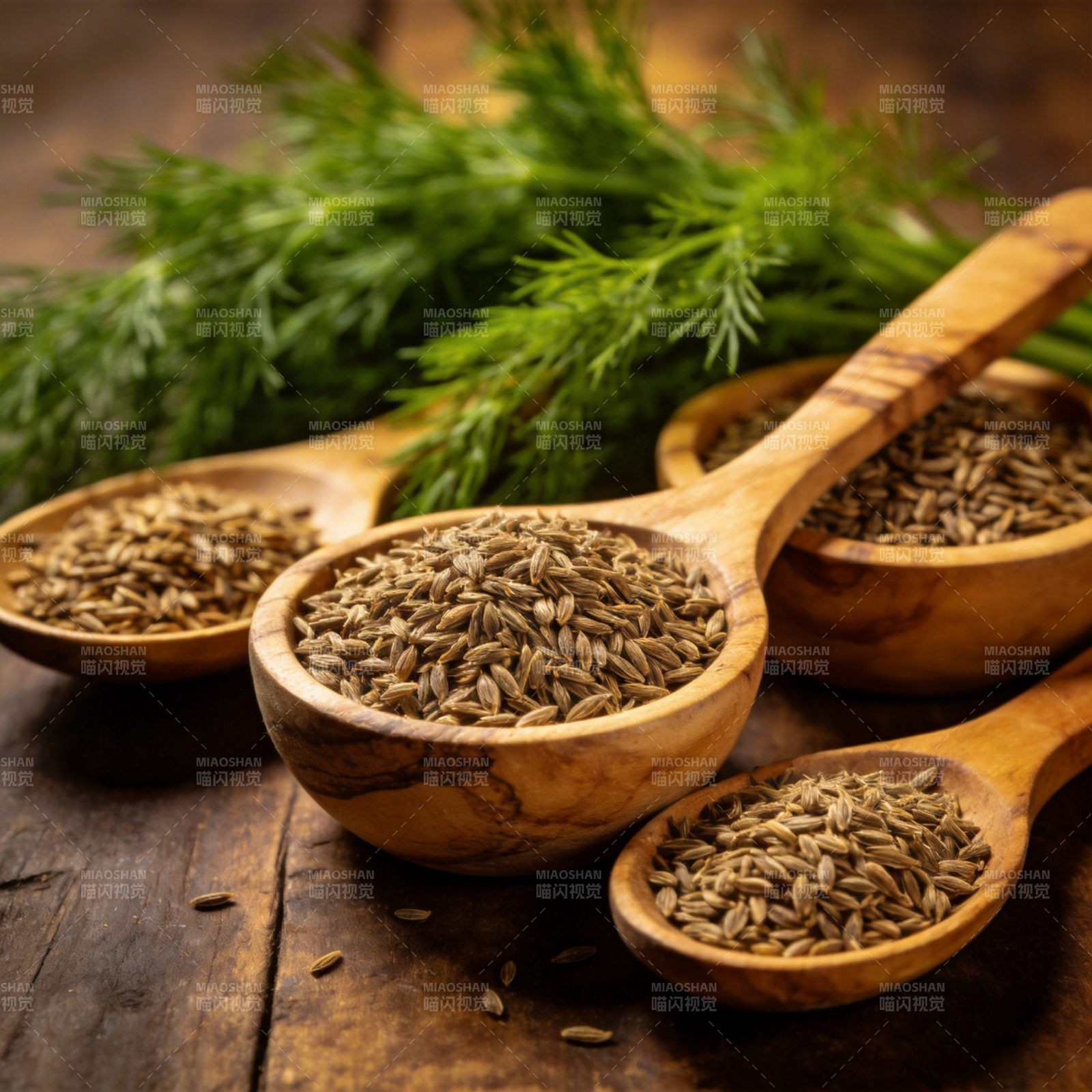 香料与新鲜香草图片