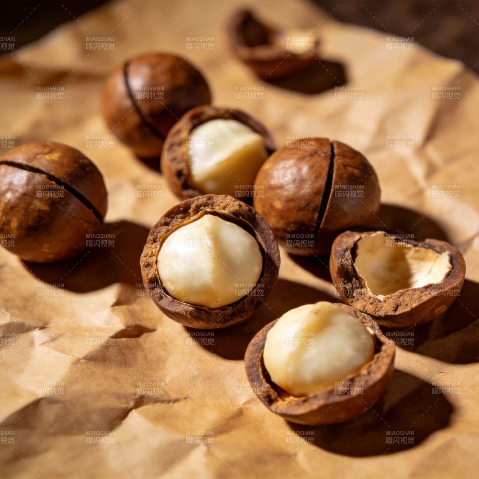 澳洲坚果特写图片