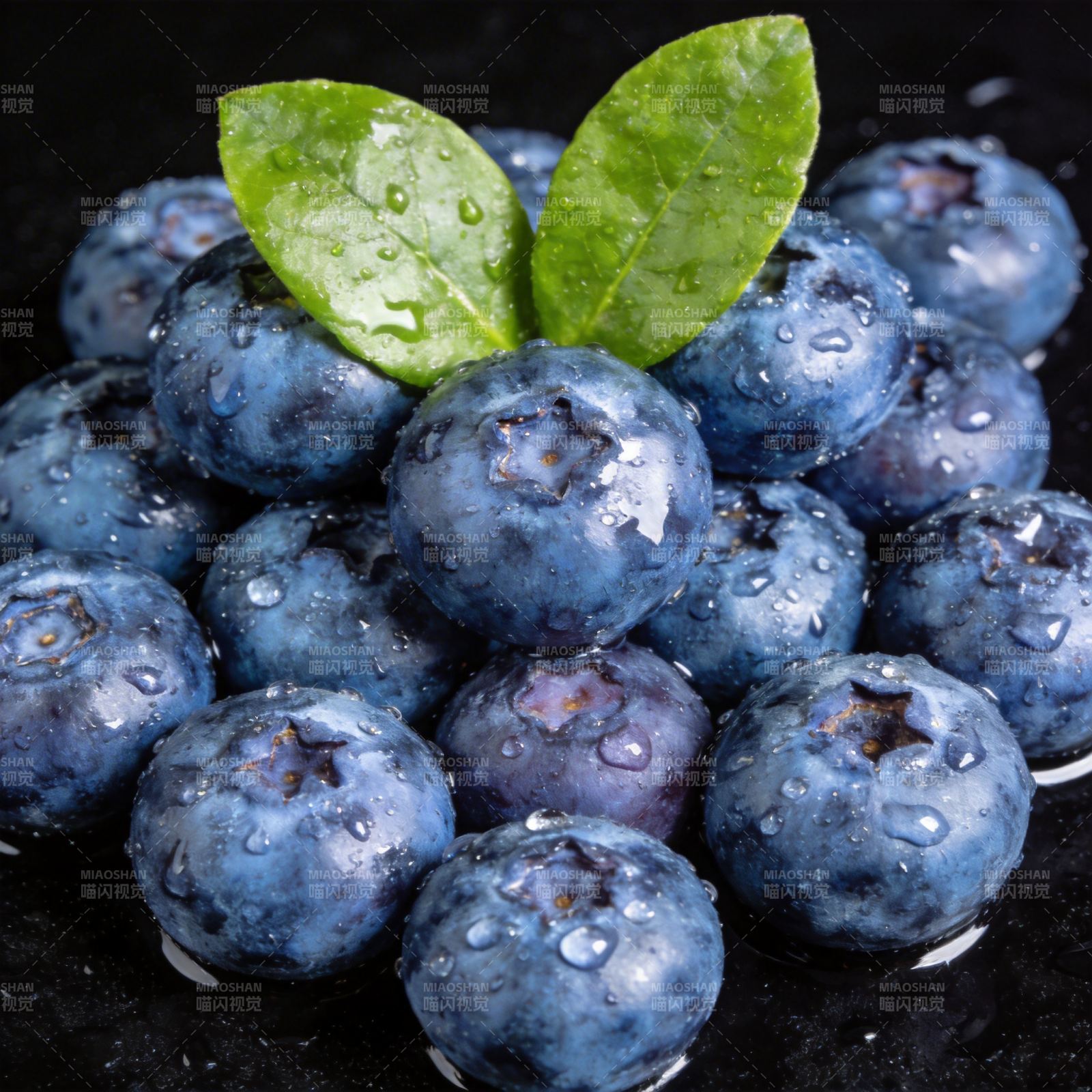 晶莹蓝莓 清新诱人图片