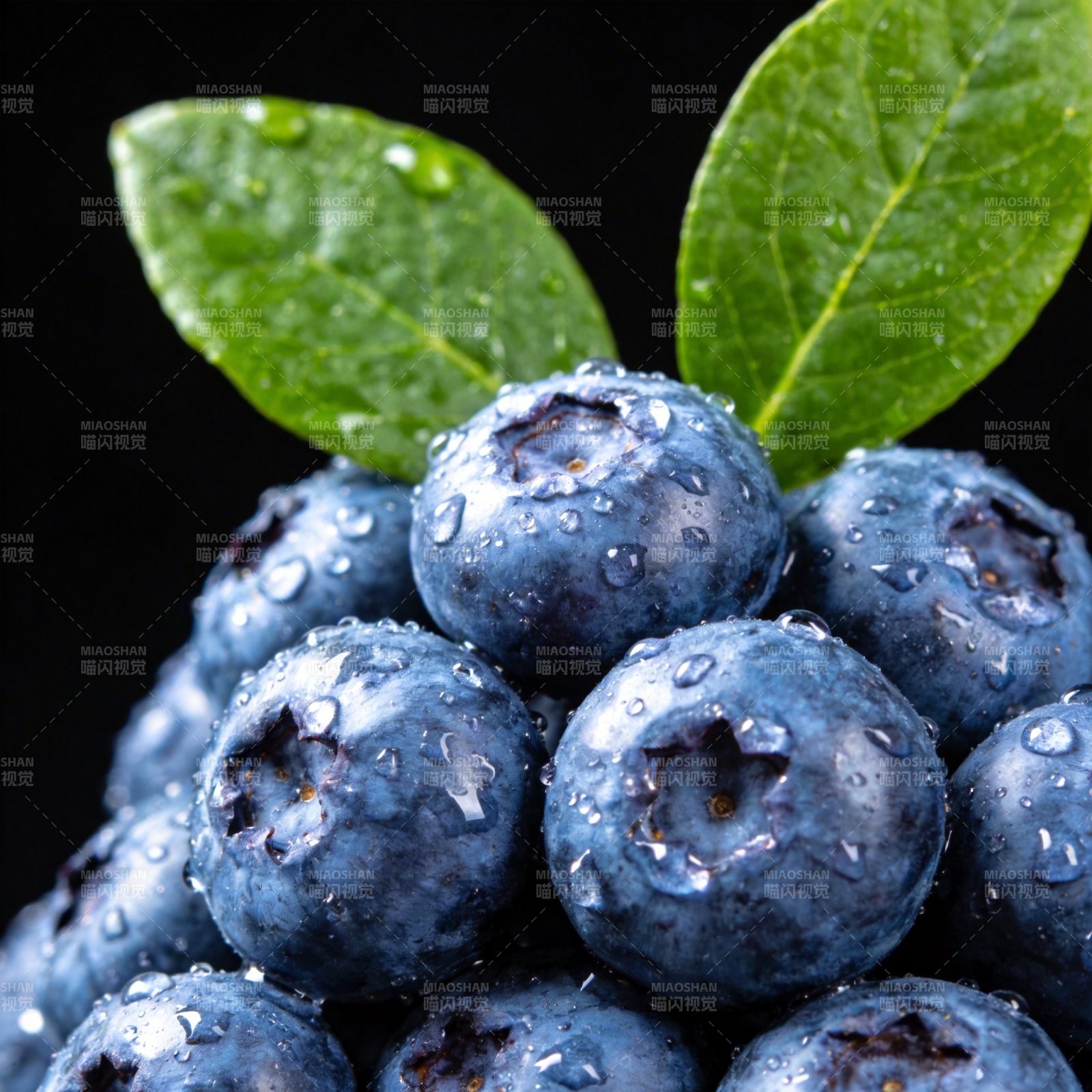 晶莹蓝莓 清新诱人图片