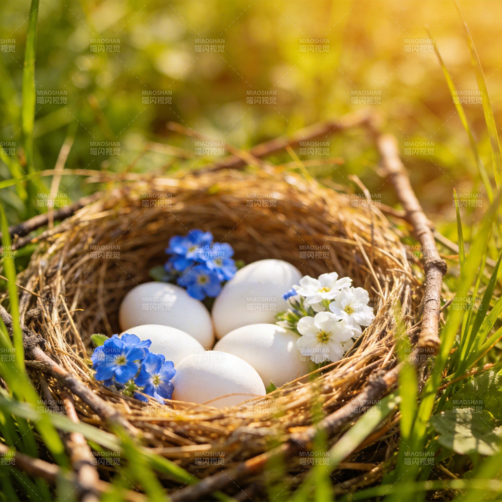 春日鸟巢花蛋图片