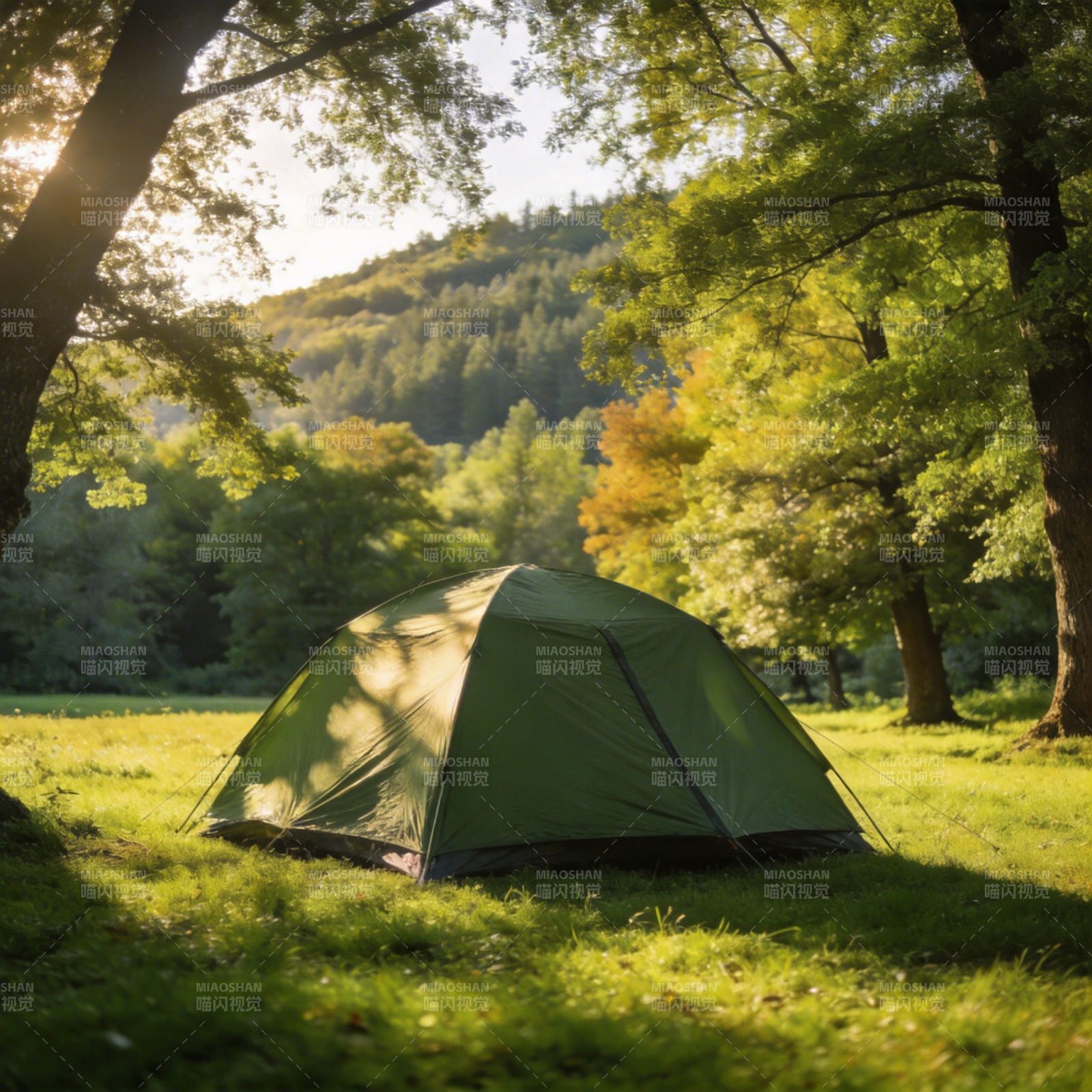 林间露营 静享自然图片