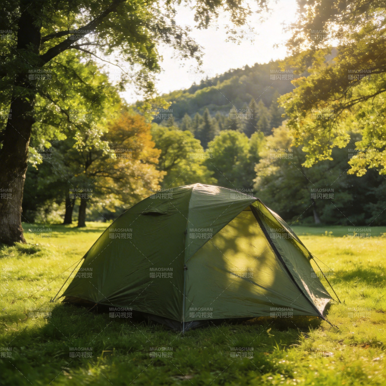 林间露营 静享自然图片