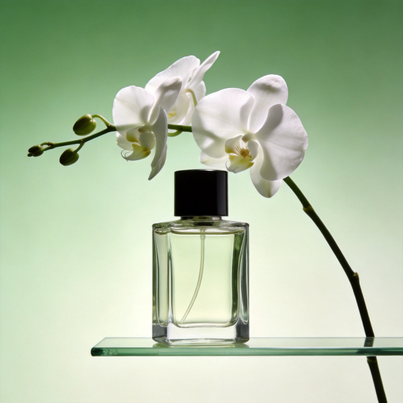 兰花香氛 清新雅致图片