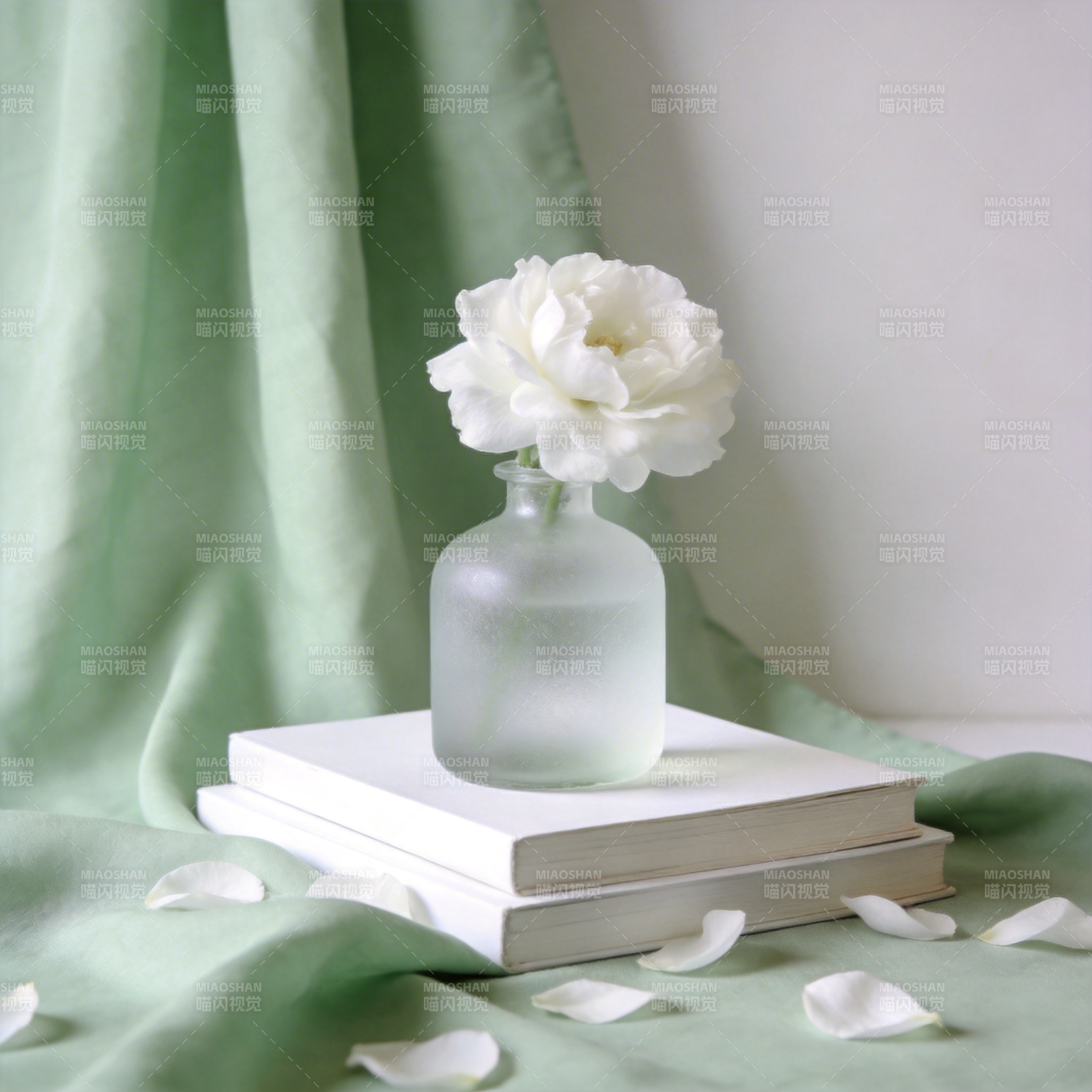 白花静置书上图片